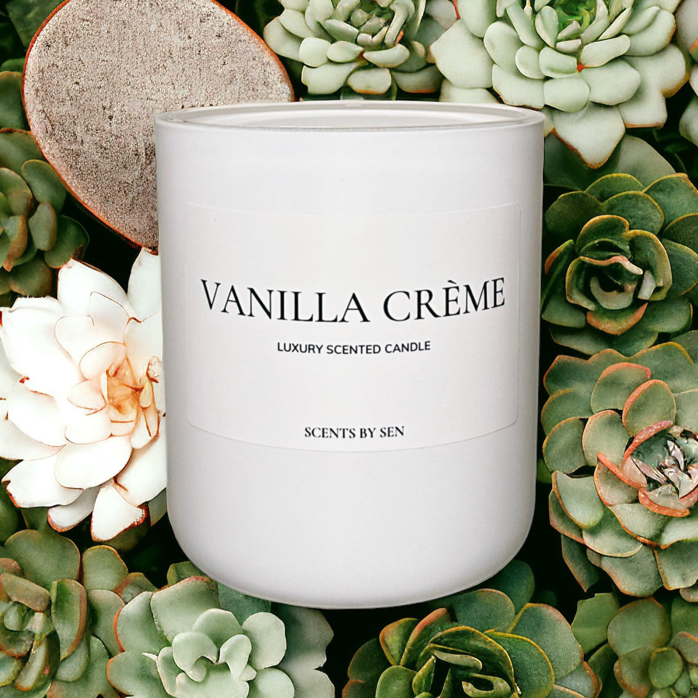 Vanilla Crème
